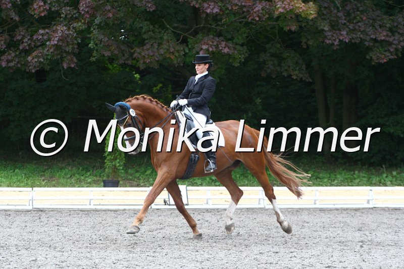 009M5290_Da Caprio_Dressur Mxx.JPG